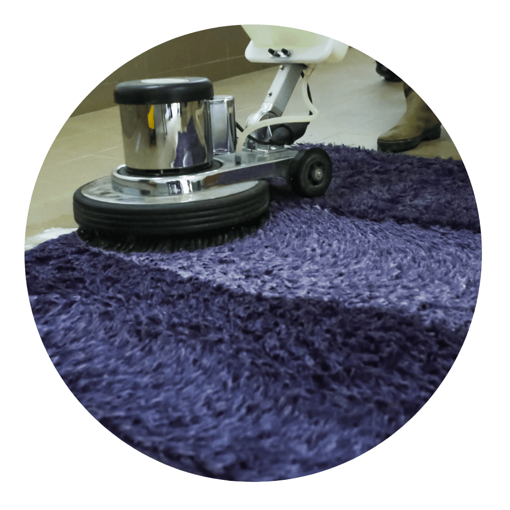 A purple rug with a floor scrubber on it.