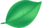 A green leaf is shown on the side of a black background.