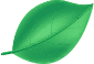 A green leaf is shown on the black background.