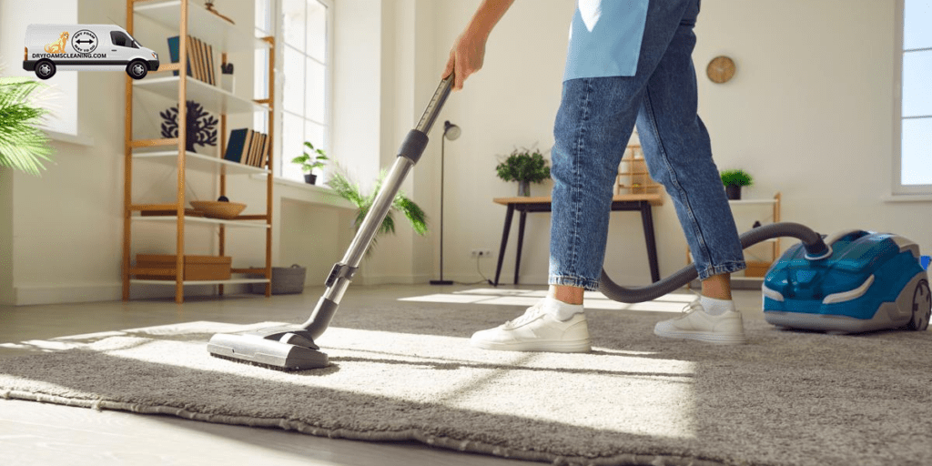 professional carpet cleaning services