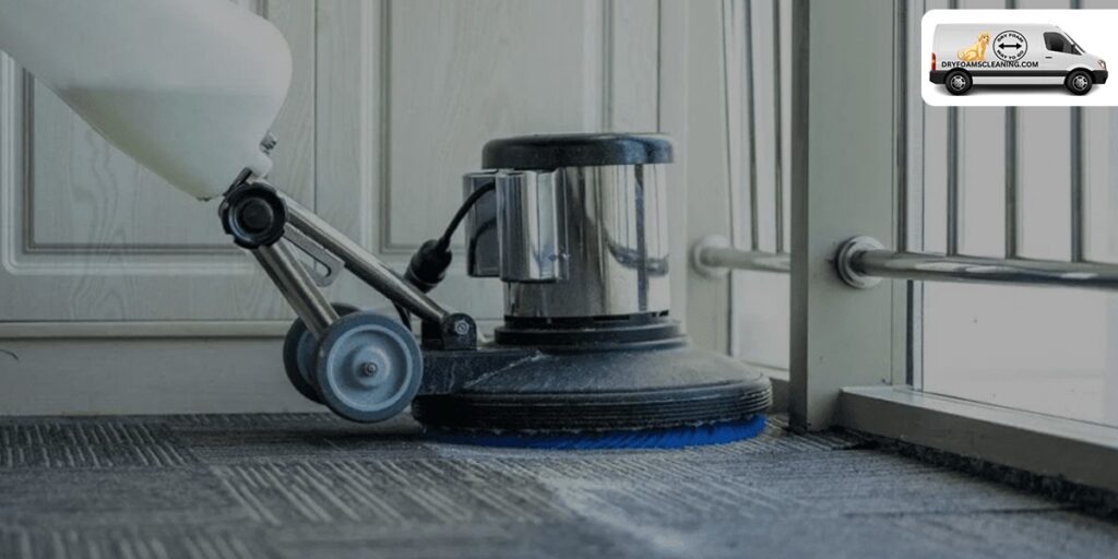 Rethinking Rug Care in Brooklyn with Smarter Cleaning Systems